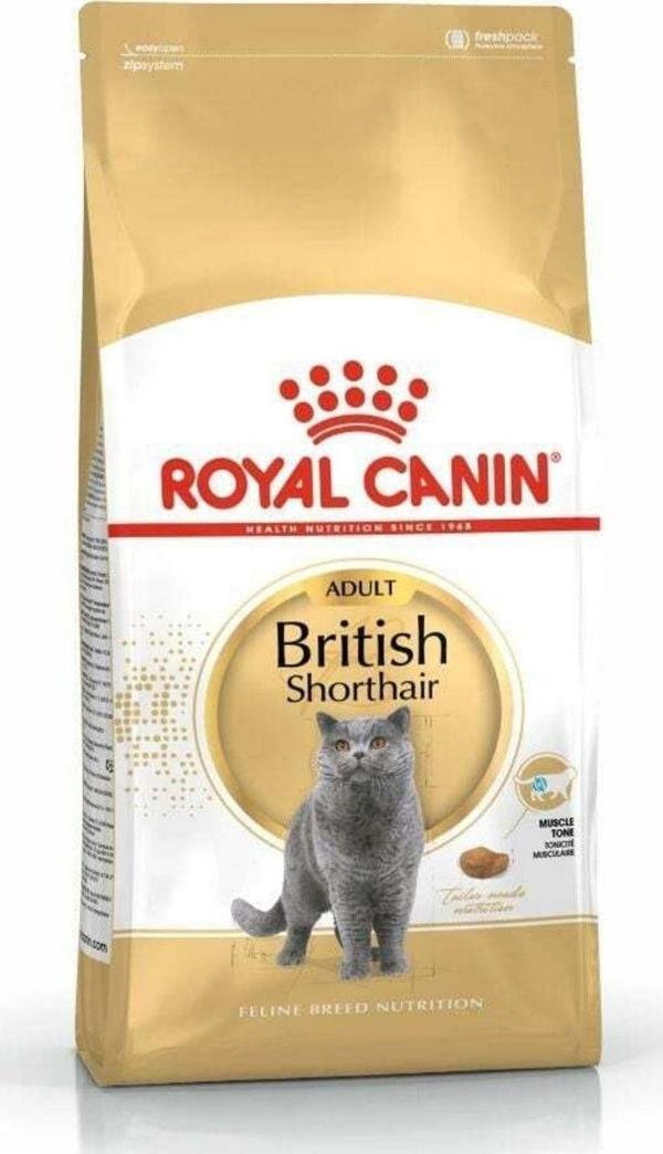 Royal Canin British Shorthair Için Özel Yetişkin Kedi Maması 10 Kg - Image 1
