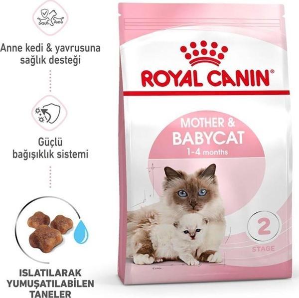 Royal Canin Mother Babycat 4Kg - Image 1