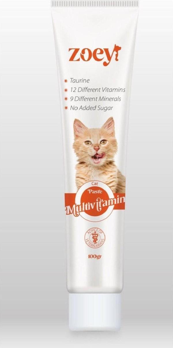 Zoey Multivitamin Paste 100 Gr - Image 1