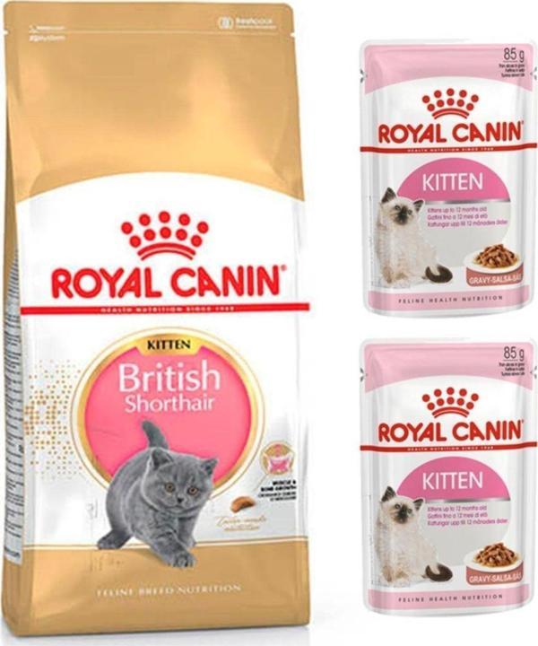 Royal Canin British Shorthair Kitten Yavru Kedi Maması 2 Kg + Kitten Yaş Mama 2 Adet (Original) - Image 1
