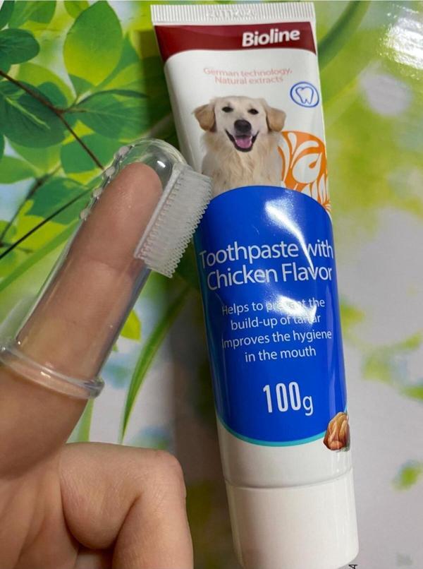 Saygın Pet Tavuk Aromalı Köpek Diş Macunu 100 gr Kapaksız Parmak Diş Fırçası - Image 1