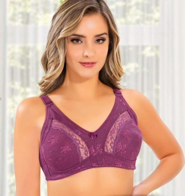 LİZA 543 BAYAN DANTELLİ TOPARLAYICI SÜTYEN TEKLİ - Image 1