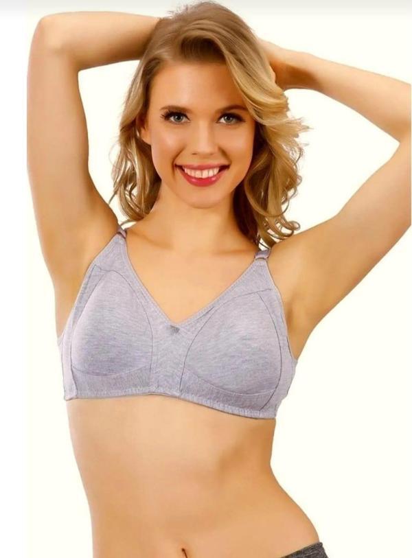 LİZA 539 KADIN BATTAL PENYE TOPARLAYICI SÜTYEN 3 ADET - Image 1