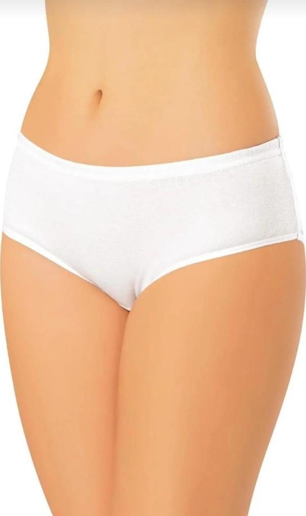 ERDEM 2500 KADIN RİBANA BATO KÜLOT 6 ADET - Image 1
