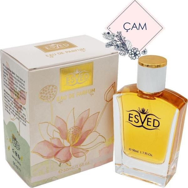 Çam Edp 50 Ml Parfüm - Image 1