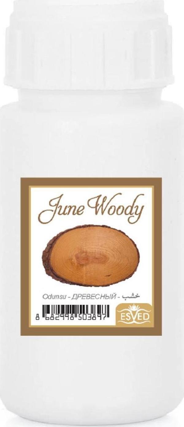 Odunsu Kokusu Çubuklu Koku Bambu Kokusu Yedek Dolum Şişesi 100Ml - Image 1