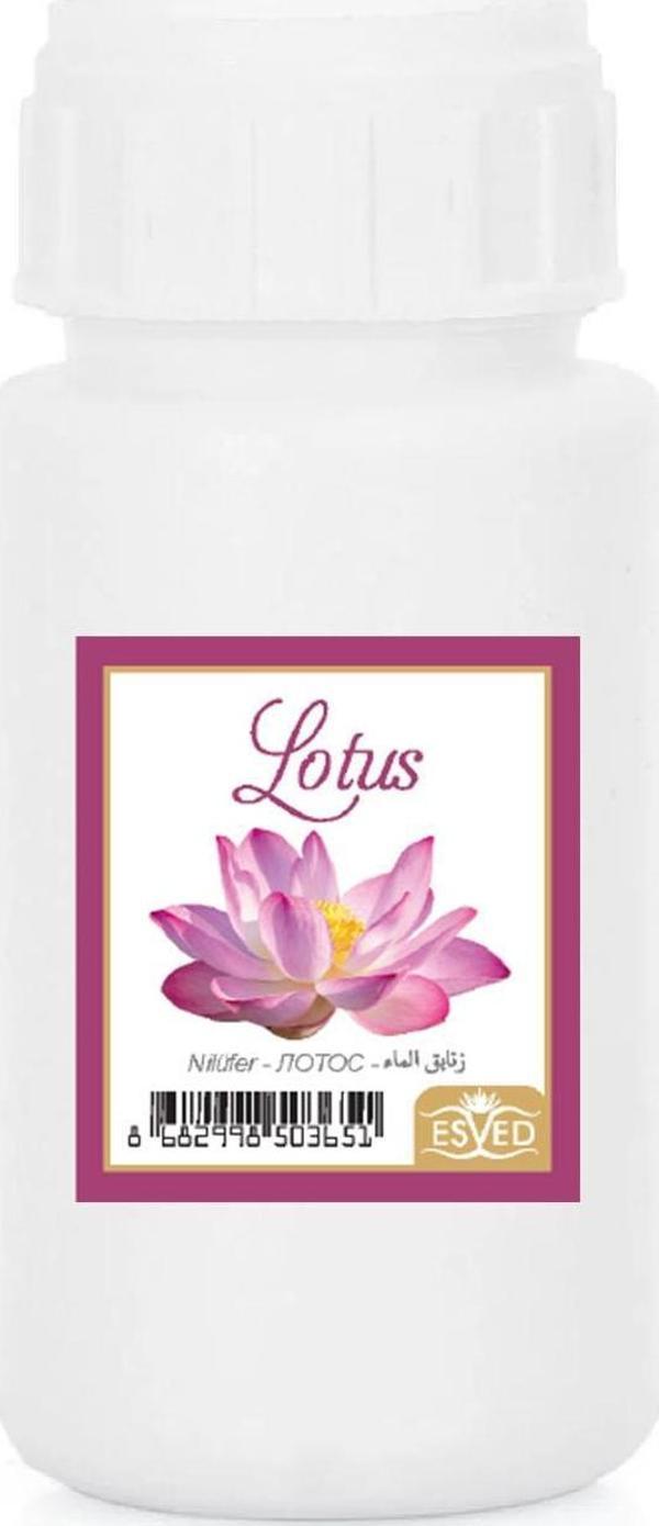 Nilüfer Kokusu Çubuklu Koku Bambu Kokusu Yedek Dolum Şişesi 100Ml - Image 1