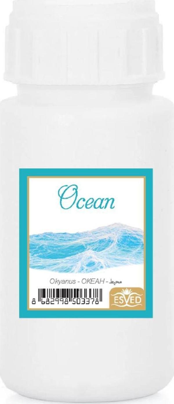 Okyanus Kokusu Çubuklu Koku Bambu Kokusu Yedek Dolum Şişesi 100Ml - Image 1