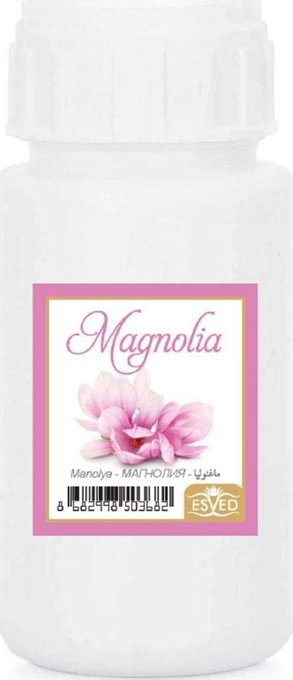 Manolya Kokusu Çubuklu Koku Bambu Kokusu Yedek Dolum Şişesi 100Ml - Image 1