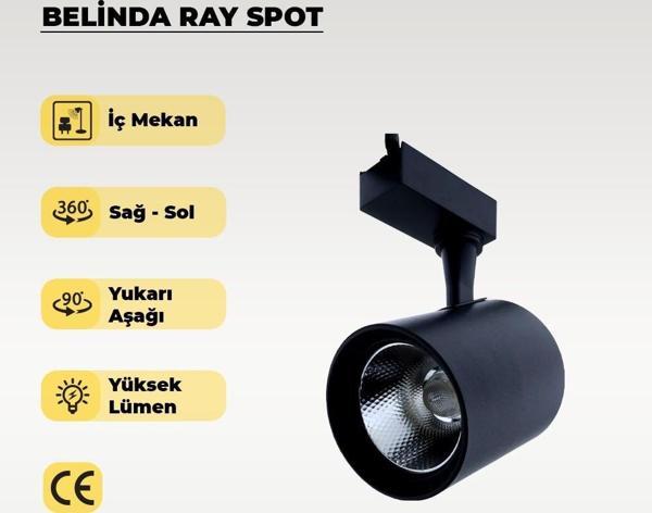 30W Siyah Ray Spot Belinda Sarı Işık - Image 1