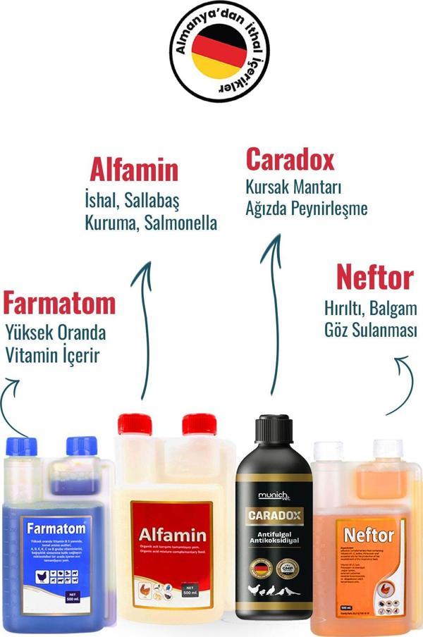 Munich Vet 4Lü Set Caradox Kursak Mantarı + Farmatom Vitamin + Alfamin + Neftor Hırıltı Seti - 500 Ml - Image 1