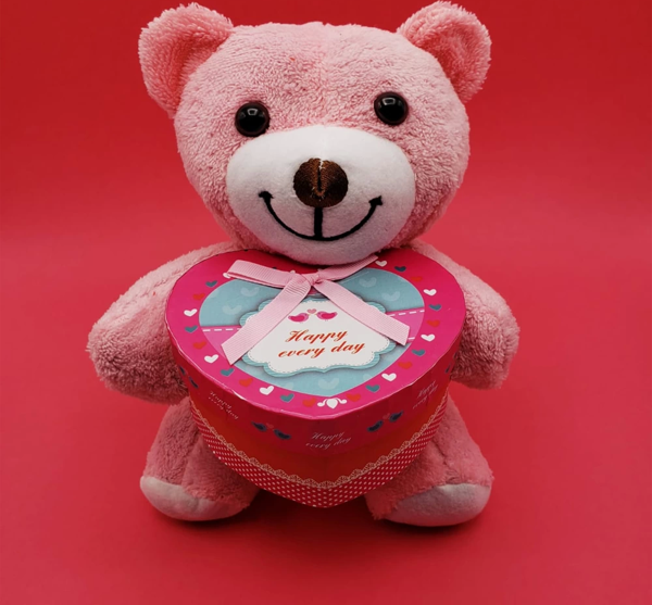 Kutulu Pembe Ayıcık - Image 1