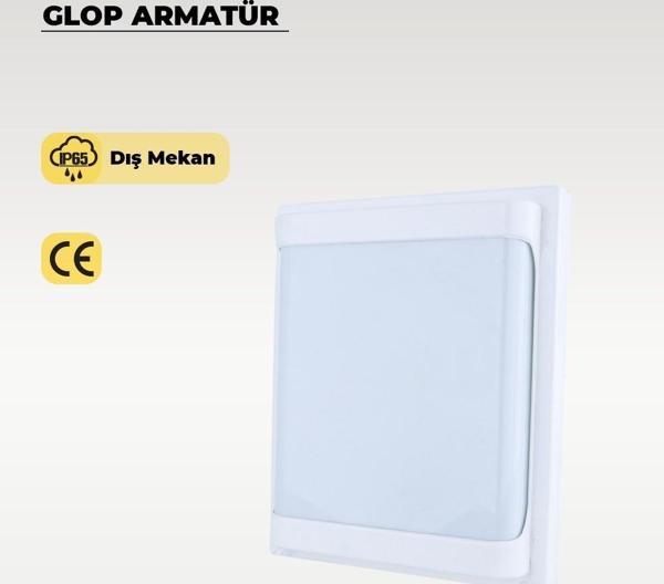 30 W Carpo Beyaz Plastik Led Glop Beyaz Işık - Image 1