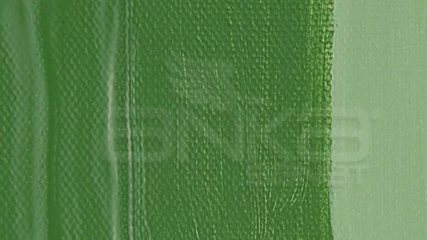 Daler Rowney System 3 Akrilik Boya 500ml 367 Oxide of Chromium Green - Image 1