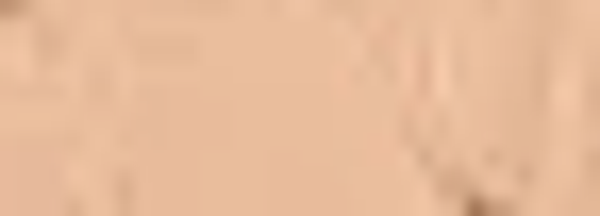 Daler Rowney Graduate Akrilik Boya 500ml 573 Portrait Pink - Image 1