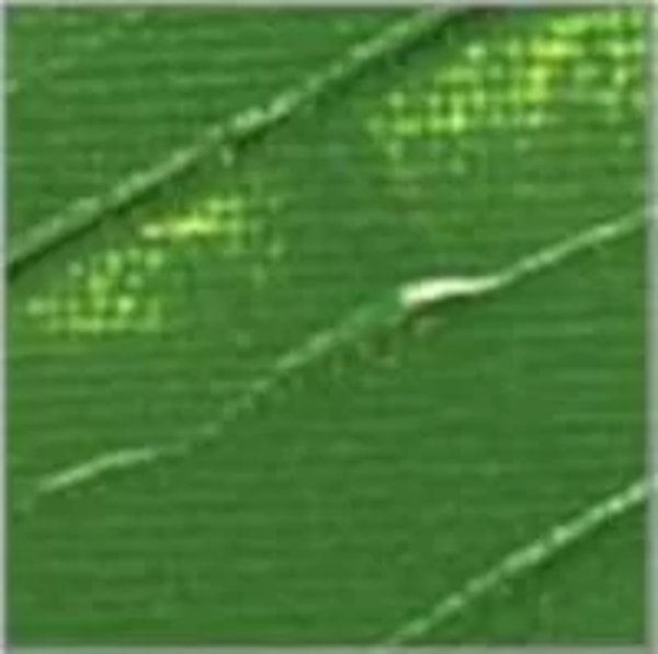 Pebeo Studio Akrilik Boya 61 Green Earth 100ml - Image 1