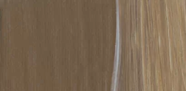 Lukas Cyrl Studio Akrilik Boya 250ml Brown Ochre - Image 1