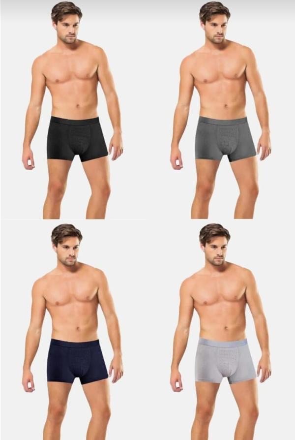 ANIT 1284 ERKEK NEFES ALAN BAMBU KARIŞIK RENKLİ BOXER 4 ADET - Image 1