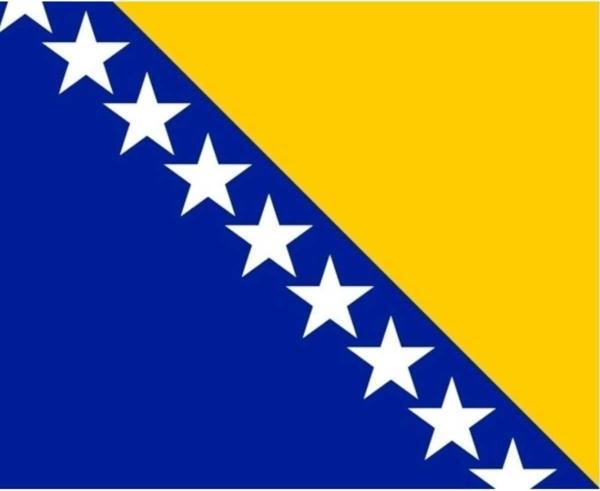 Uniquetrenders Bosna Hersek Bayrağı  30X45 Cm.   - Image 1