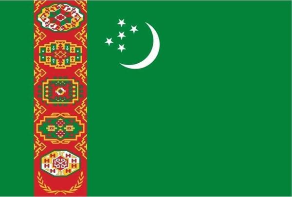 Uniquetrenders Türkmenistan Bayrağı  30X45 Cm.   - Image 1