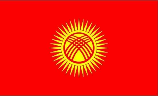 Uniquetrenders Kırgızistan Bayrağı  30X45 Cm   - Image 1