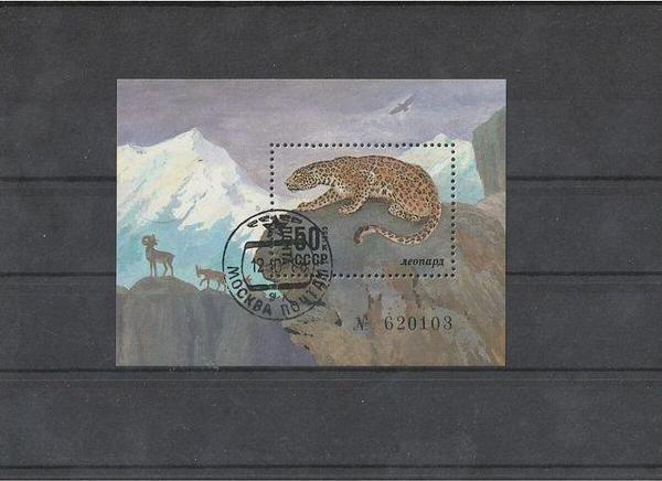 Escoines Koleksiyon 39963680e1bc4e7d3b 1985rusya leopar temalı blok pulu - Image 1