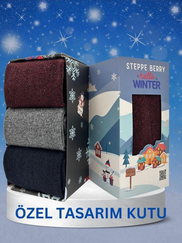 Steppe Berry 3'Lü Erkek Kutulu Yün Çorap - Image 1