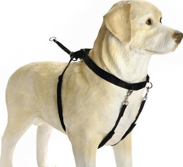 Beeztees Köpek Yürüyüş Eğitim ve Düzeltme Tasması, XL - Image 1