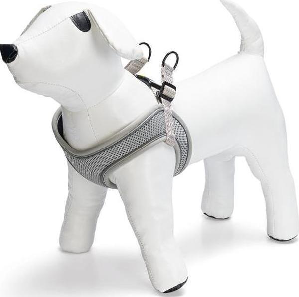 Beeztees Köpek Göğüs Tasması, Neopren, Gri, S, 38-44cm - Image 1