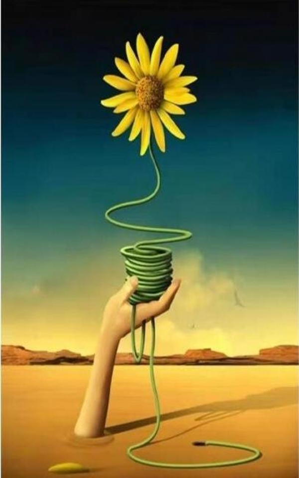Canvas Arnika Sayılarla Boyama Seti  Kasnaklı 100 x 140 cm - Image 1