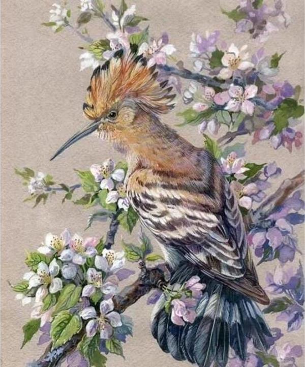 Canvas Bahar ve Kuş Sayılarla Boyama Seti  Kasnaklı 60 x 75 cm - Image 1