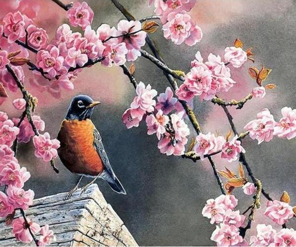 Canvas Bahar ve Kuşlar 2 Sayılarla Boyama Seti  Kasnaklı 70 x 90 cm - Image 1