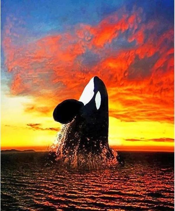 Canvas Balina Sayılarla Boyama Seti Sayılarla Boyama Seti  Kasnaklı 90 x 110 cm - Image 1