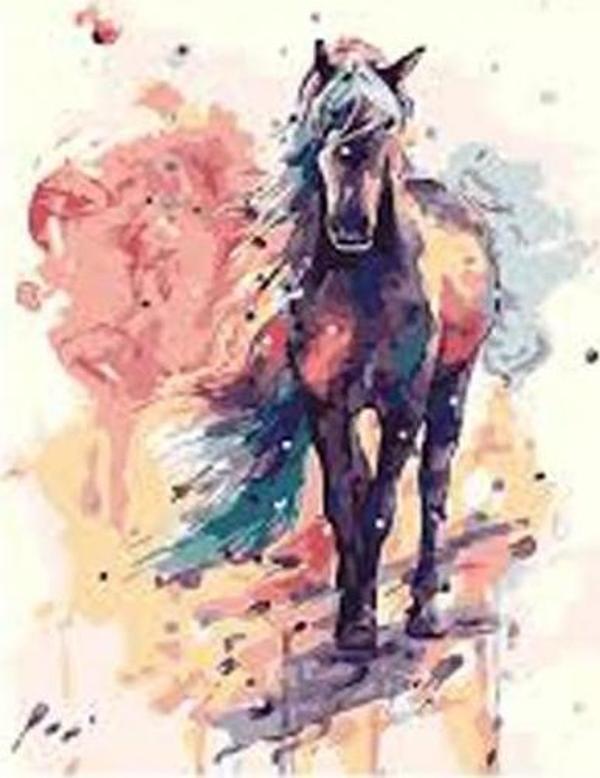 Canvas Düşlerdeki At Sayılarla Boyama Seti   Kasnaklı 40 x 50 cm - Image 1