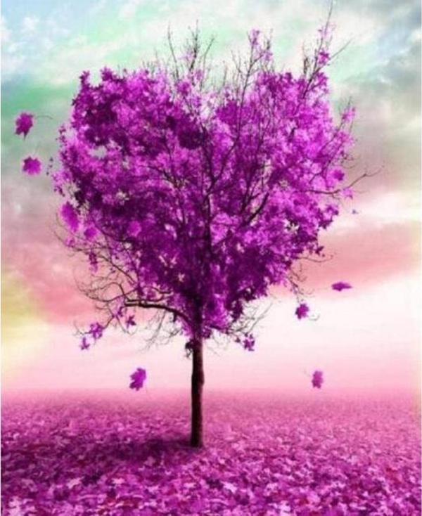 Canvas Aşk Ağacı Sayılarla Boyama Seti  Kasnaklı 50 x 65 cm - Image 1