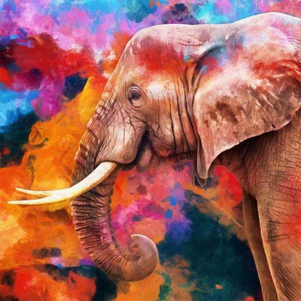 Canvas Güzel Fil Sayılarla Boyama Seti  Kasnaklı 70 x 90 cm - Image 1