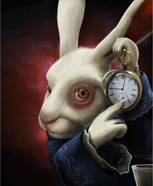 Canvas Harikalar Diyarı 2 Sayılarla Boyama Seti  Kasnaklı 70 x 90 cm - Image 1