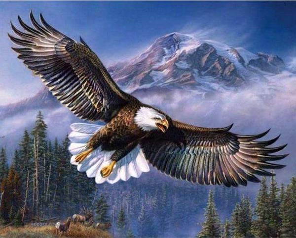 Canvas Gökteki Kartal Sayılarla Boyama Seti  Kasnaklı 70 x 90 cm - Image 1