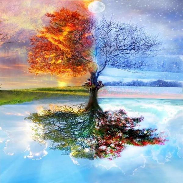 Canvas Dolunay ve Ağaç Sayılarla Boyama Seti  Kasnaklı 40 x 50 cm - Image 1