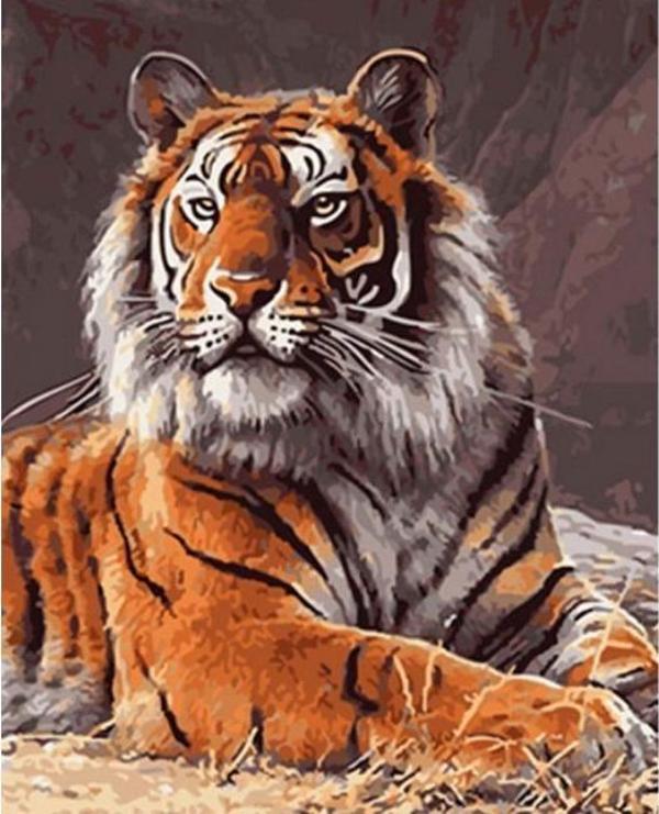 Canvas Güçlü Kaplan Sayılarla Boyama Seti  Kasnaklı 40 x 50 cm - Image 1