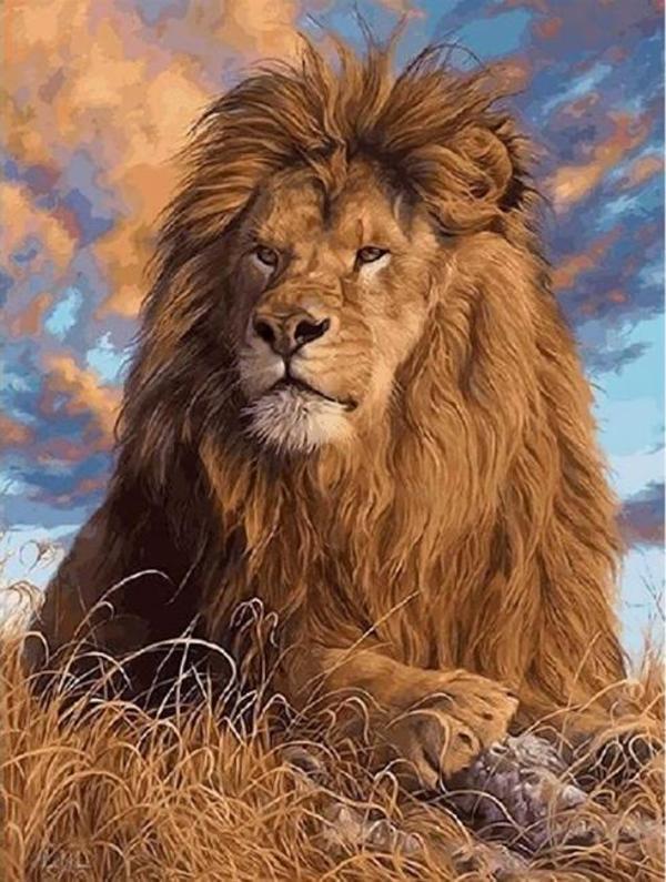 Canvas Lider Aslan  Sayılarla Boyama Seti  Kasnaklı 60 x 75 cm - Image 1