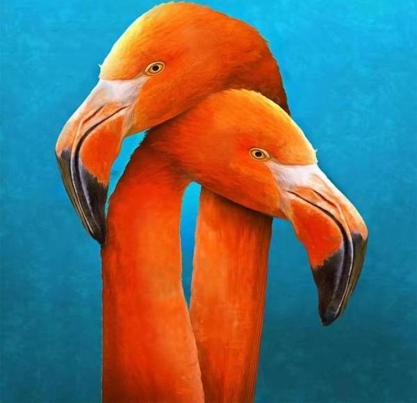Canvas Sarilan Flamingo Sayılarla Boyama Seti  Kasnaklı 70 x 90 cm - Image 1