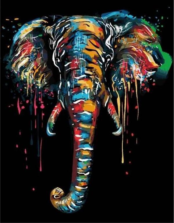 Canvas Renklerin Fili Sayılarla Boyama Seti  Kasnaklı 50 x 65 cm - Image 1