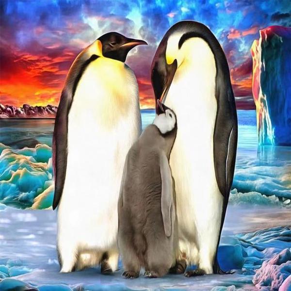 Canvas Penguen Ailesi Sayılarla Boyama Seti  Kasnaklı 50 x 65 cm - Image 1