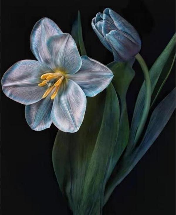 Canvas Yaşam Çiçeği 2 Sayılarla Boyama  Seti  Kasnaklı 60 x 75 cm - Image 1