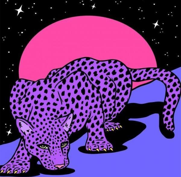 Canvas Uzaydaki Leopar Sayılarla Boyama Seti  Kasnaklı 100 x 140 cm - Image 1