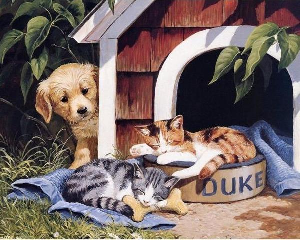 Canvas Sevimli Dostlar Boyama  Seti  Kasnaklı 60 x 75 cm - Image 1