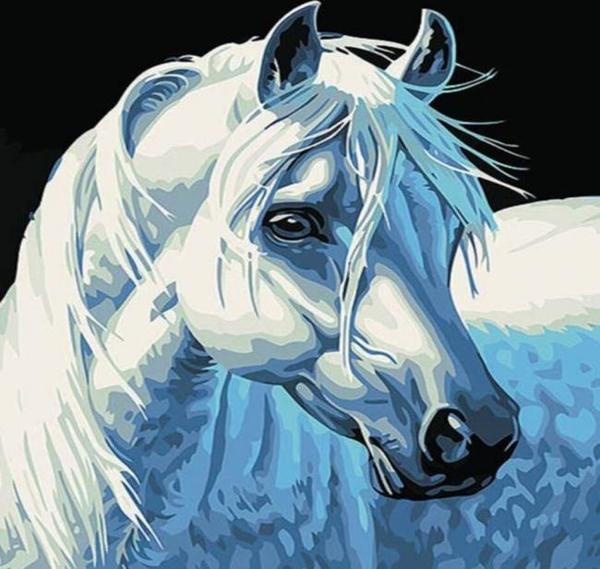 Canvas Yıldız At Sayılarla Boyama Seti  Kasnaklı 40 x 50 cm - Image 1