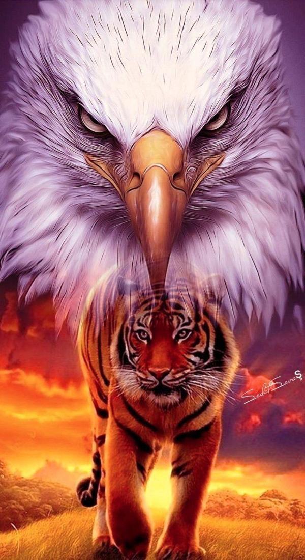 Canvas Kaplan Ve Kartal Sayılarla Boyama Seti Kasnaklı 70 x 90 cm - Image 1