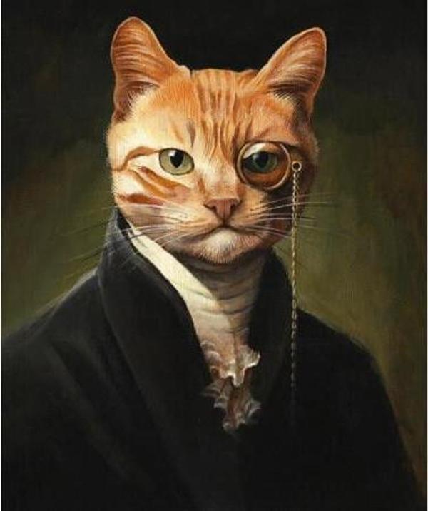 Canvas Kedinin Asilliği Sayılarla Boyama Seti  Kasnaklı 100 x 140 cm - Image 1